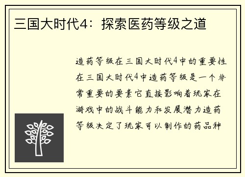 三国大时代4：探索医药等级之道